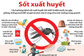 TUYÊN TRUYỀN PHÒNG, CHỐNG BỆNH SỐT XUẤT HUYẾT